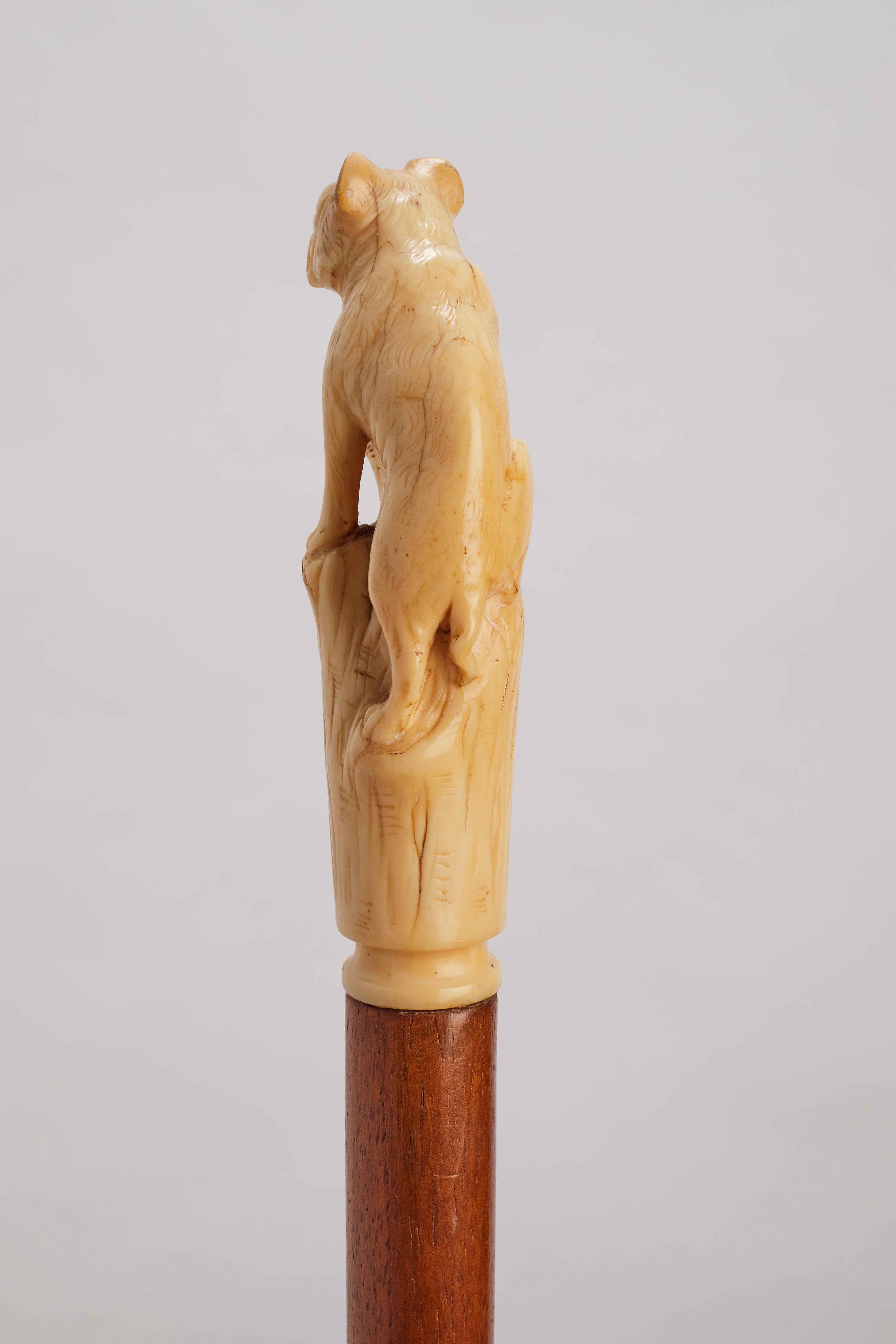 19th Century Ivory handle walking stick depicting a French bulldog, France 1880. For Sale