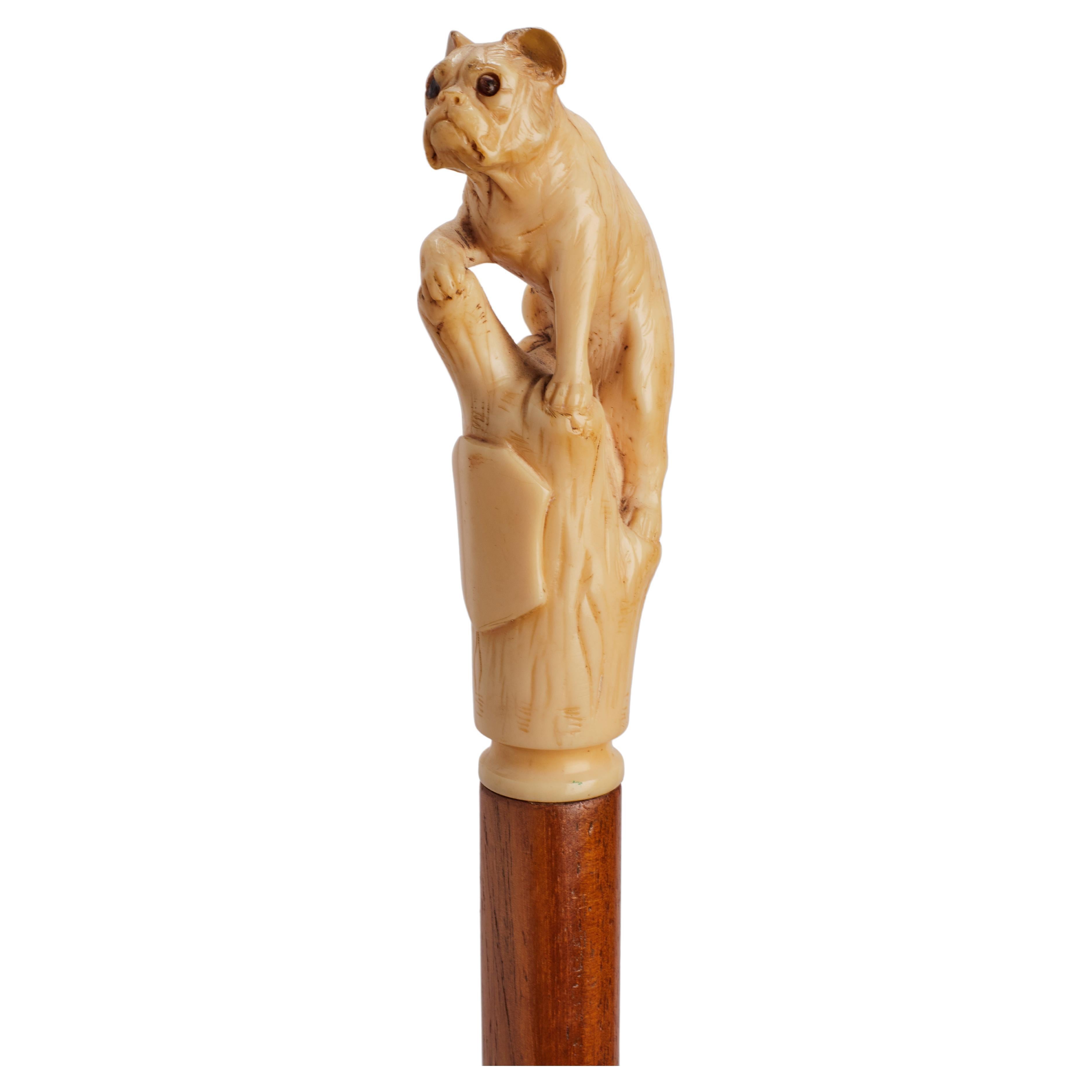Ivory handle walking stick depicting a French bulldog, France 1880. For Sale
