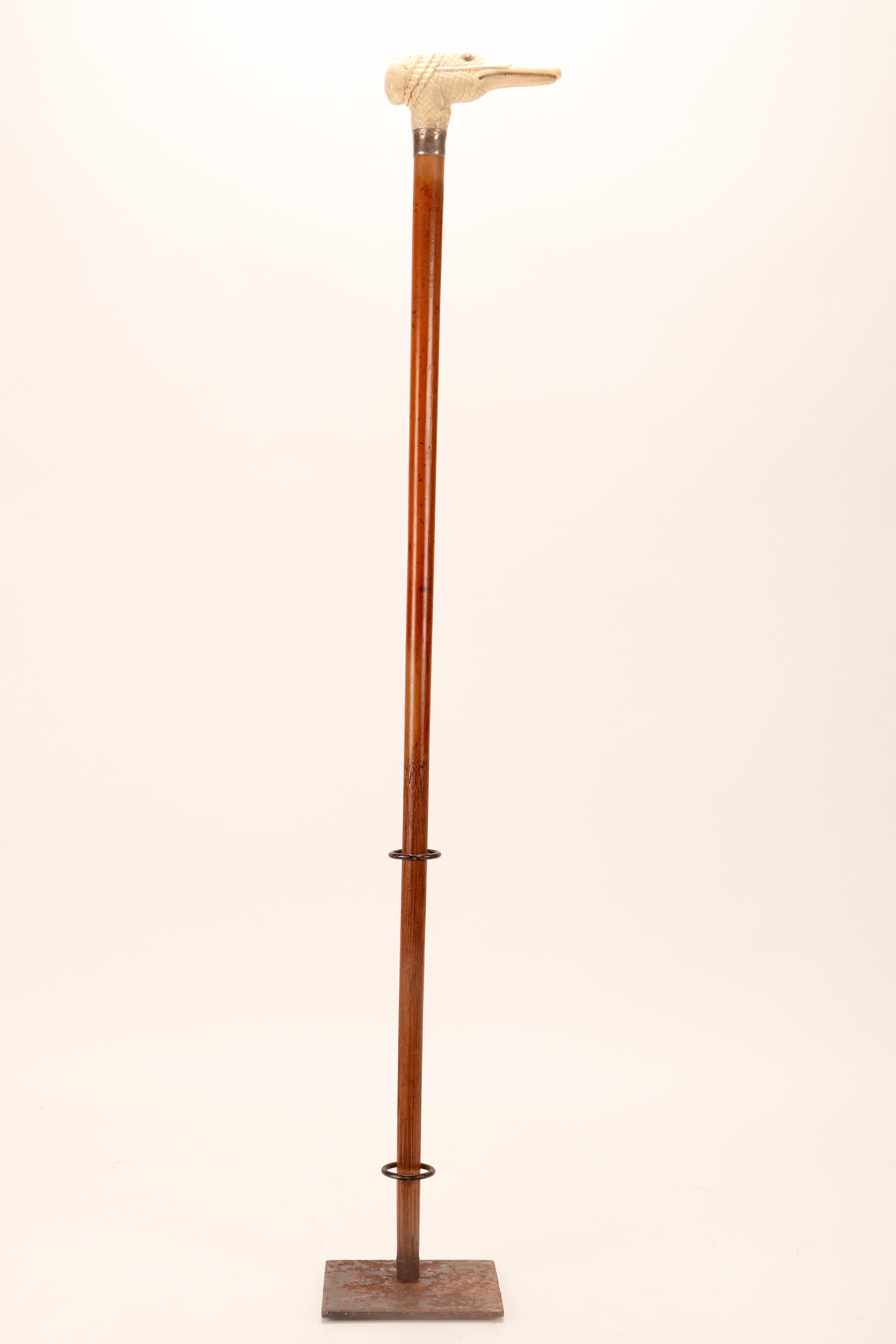 Ivory handle walking stick depicting a goose head, Austria1880.  For Sale 5