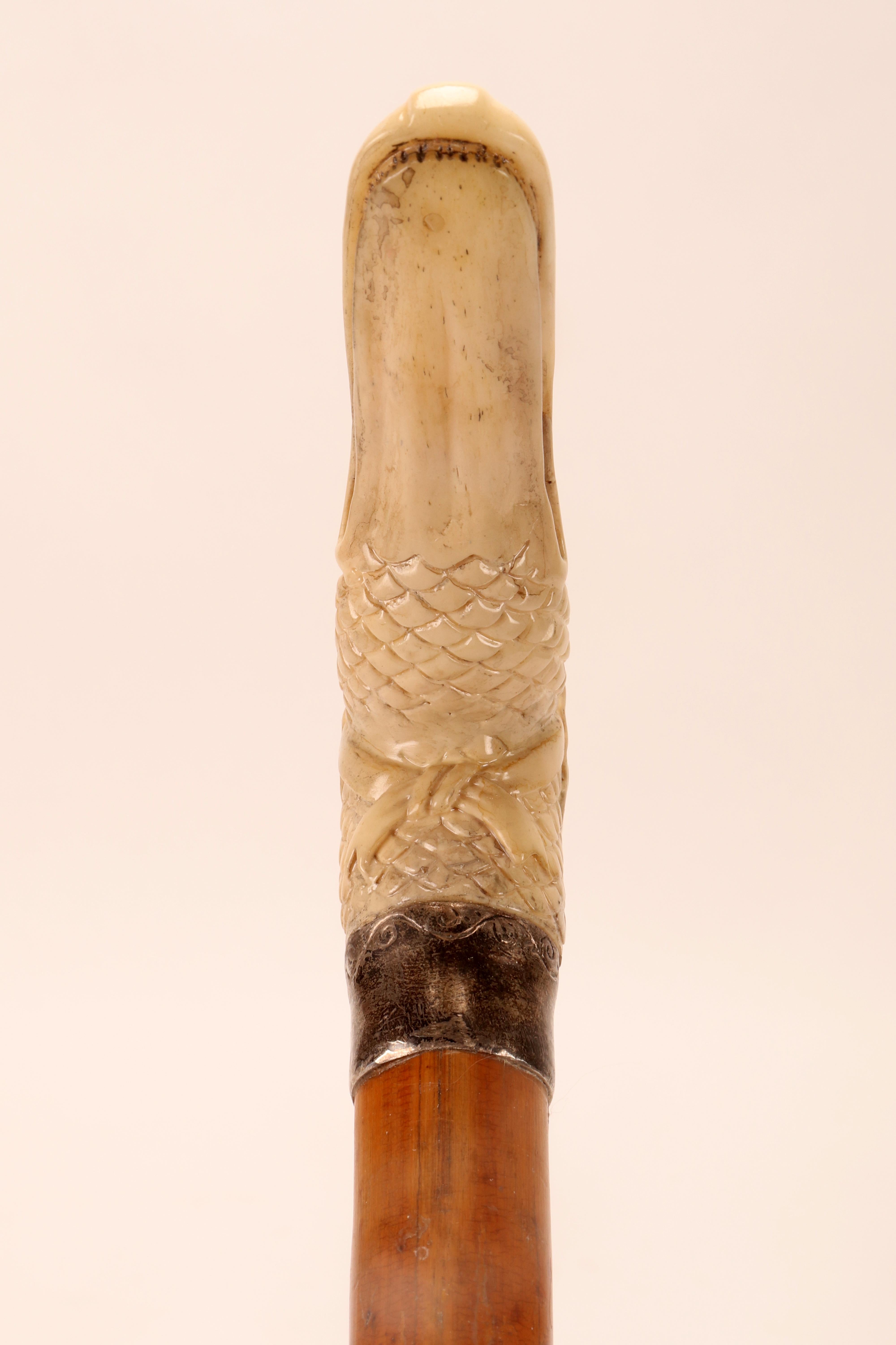19th Century Ivory handle walking stick depicting a goose head, Austria1880.  For Sale