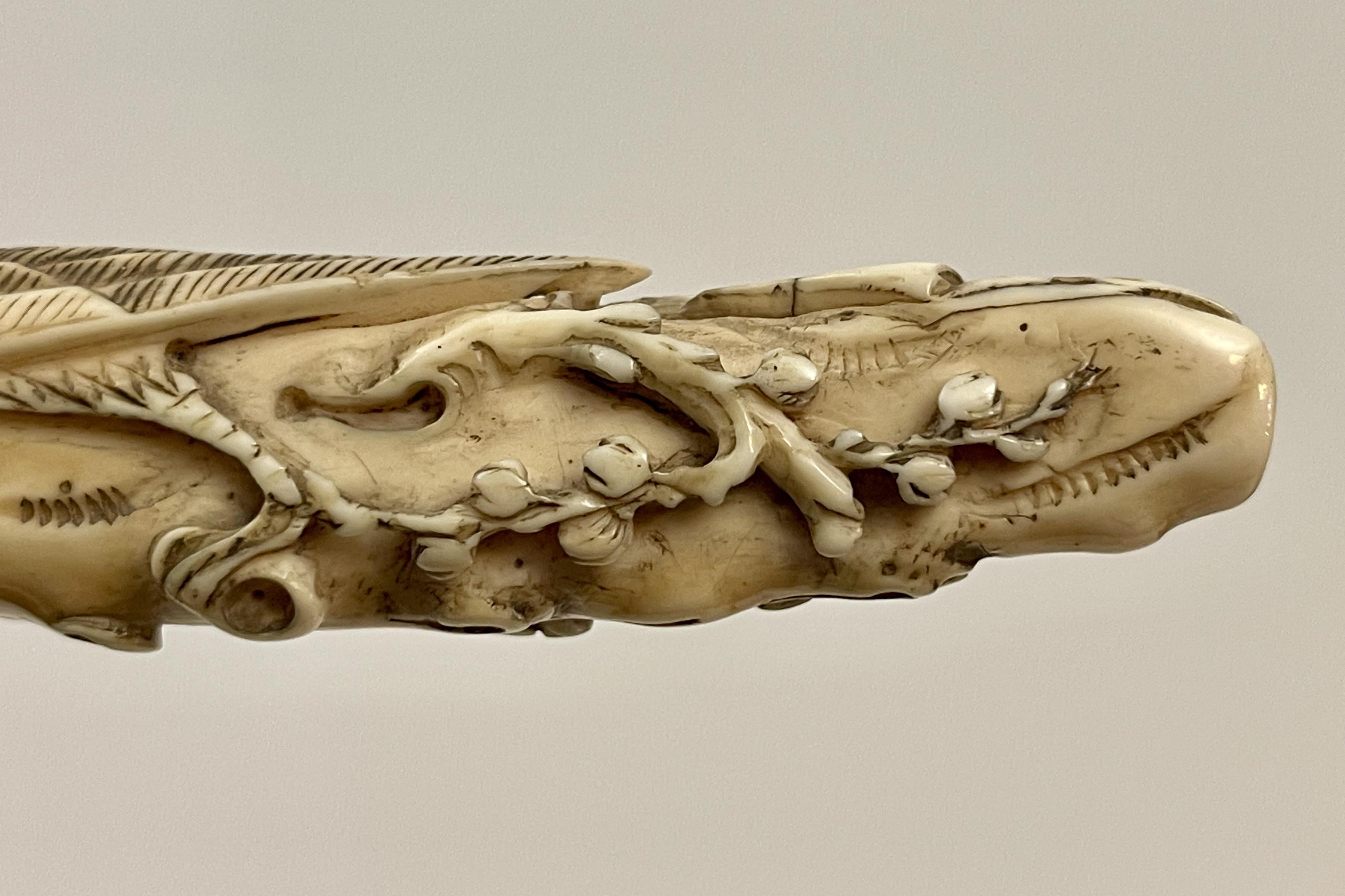 Elfenbeinfarbener Spazierstock mit Griff und Darstellung einer Eule auf Kirschblüte, Großbritannien 1900 im Angebot 5