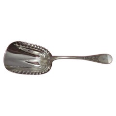 Ivy Aka Antique Ivy Eng by Tiffany & Co. Sterling Silver Cracker Scoop