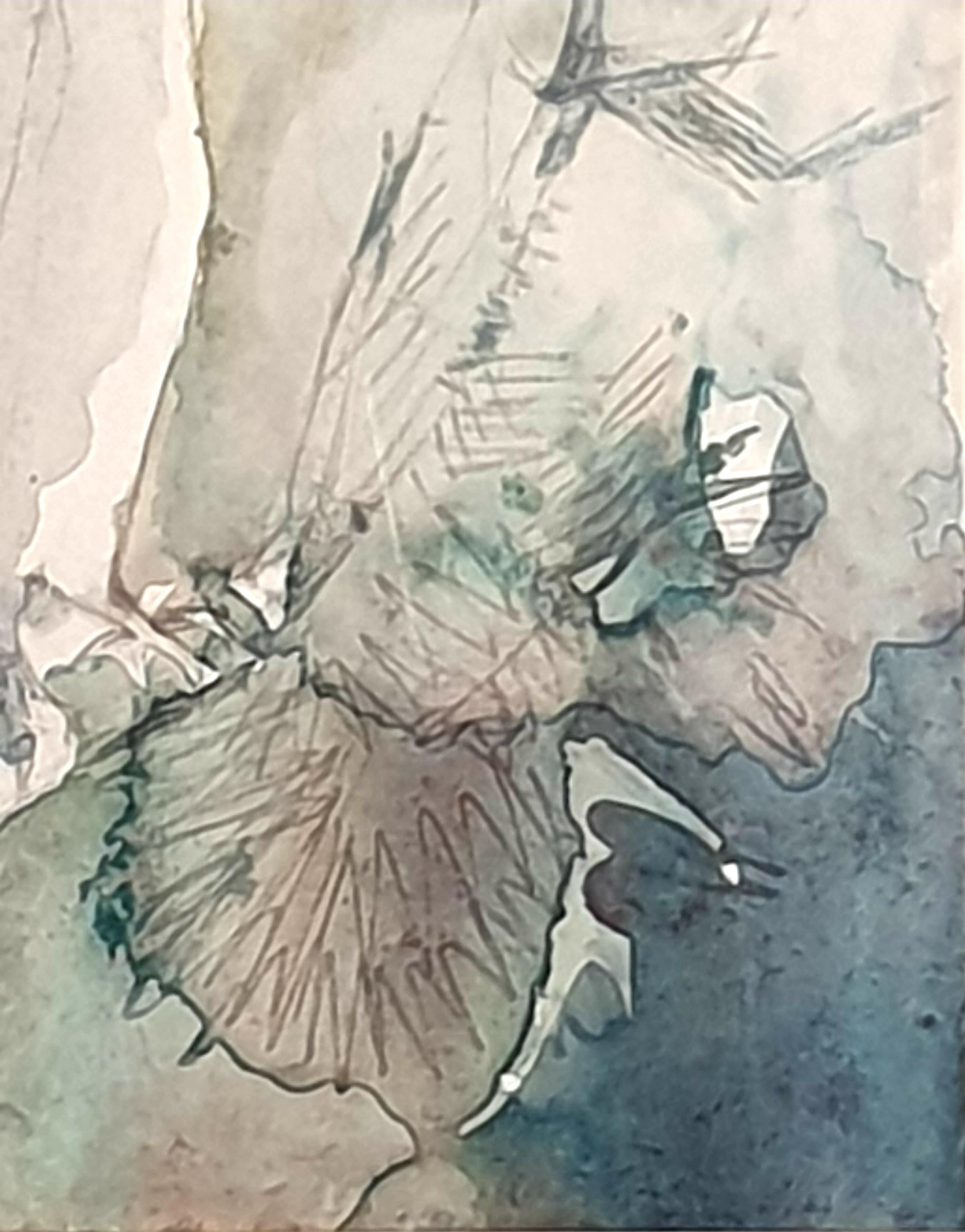 Acquerello su carta della metà del secolo scorso raffigurante un uccello canoro, opera di Ivy Bailey. Firmato in basso a sinistra e intitolato al retro 