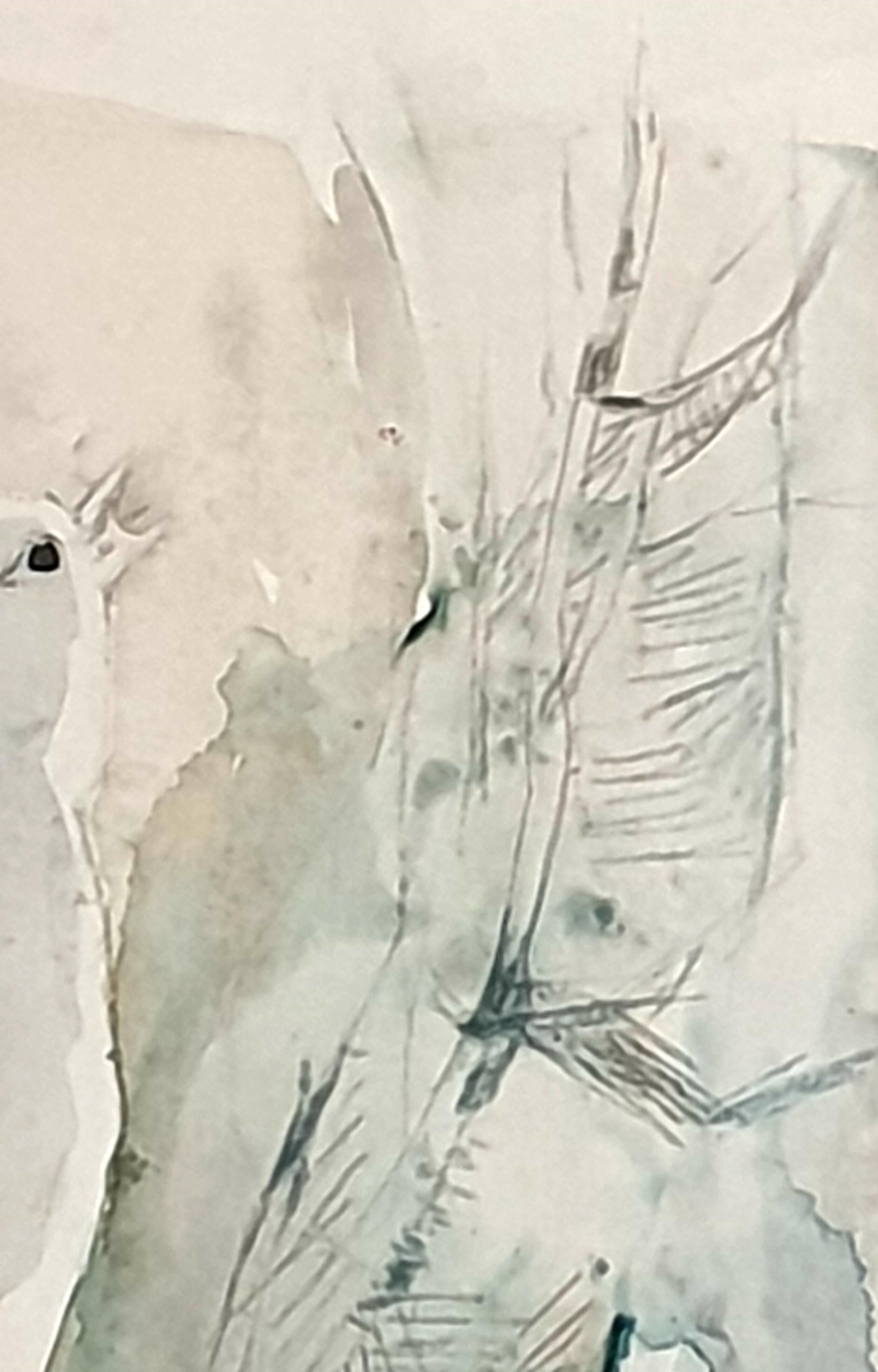 Acquerello su carta di metà secolo raffigurante un uccello canoro. 'Canzoniere effimero' in vendita 2