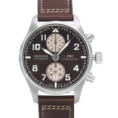 IWC Pilots Antoine De Saint Exupery Steel Brown Dial Mens Watch IW387806