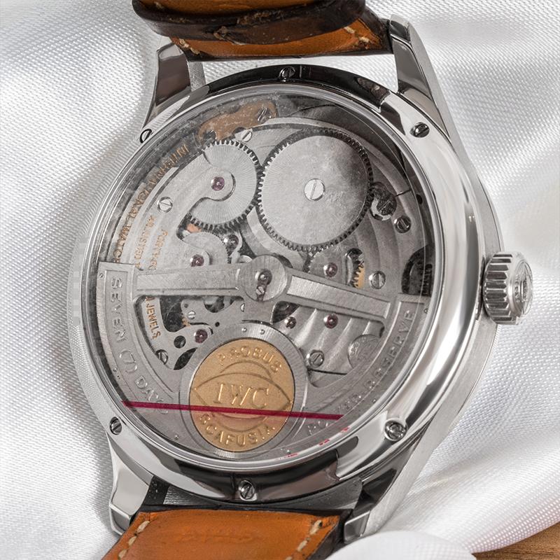 iwc limited edition platinum
