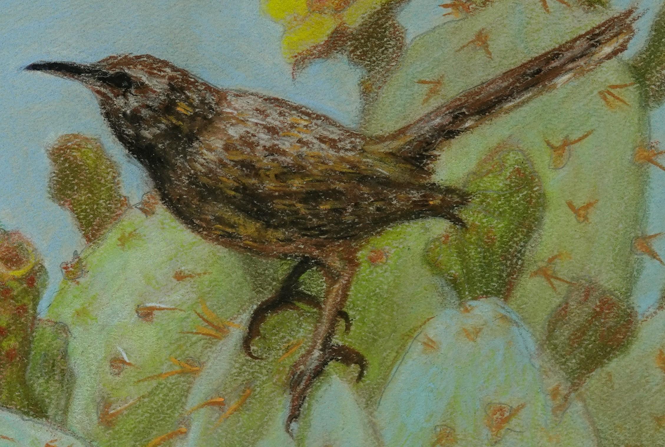 „Cactus Wren“ (2022) von J. Adam McGalliard, Original pastellfarbene Originalillustration im Angebot 1