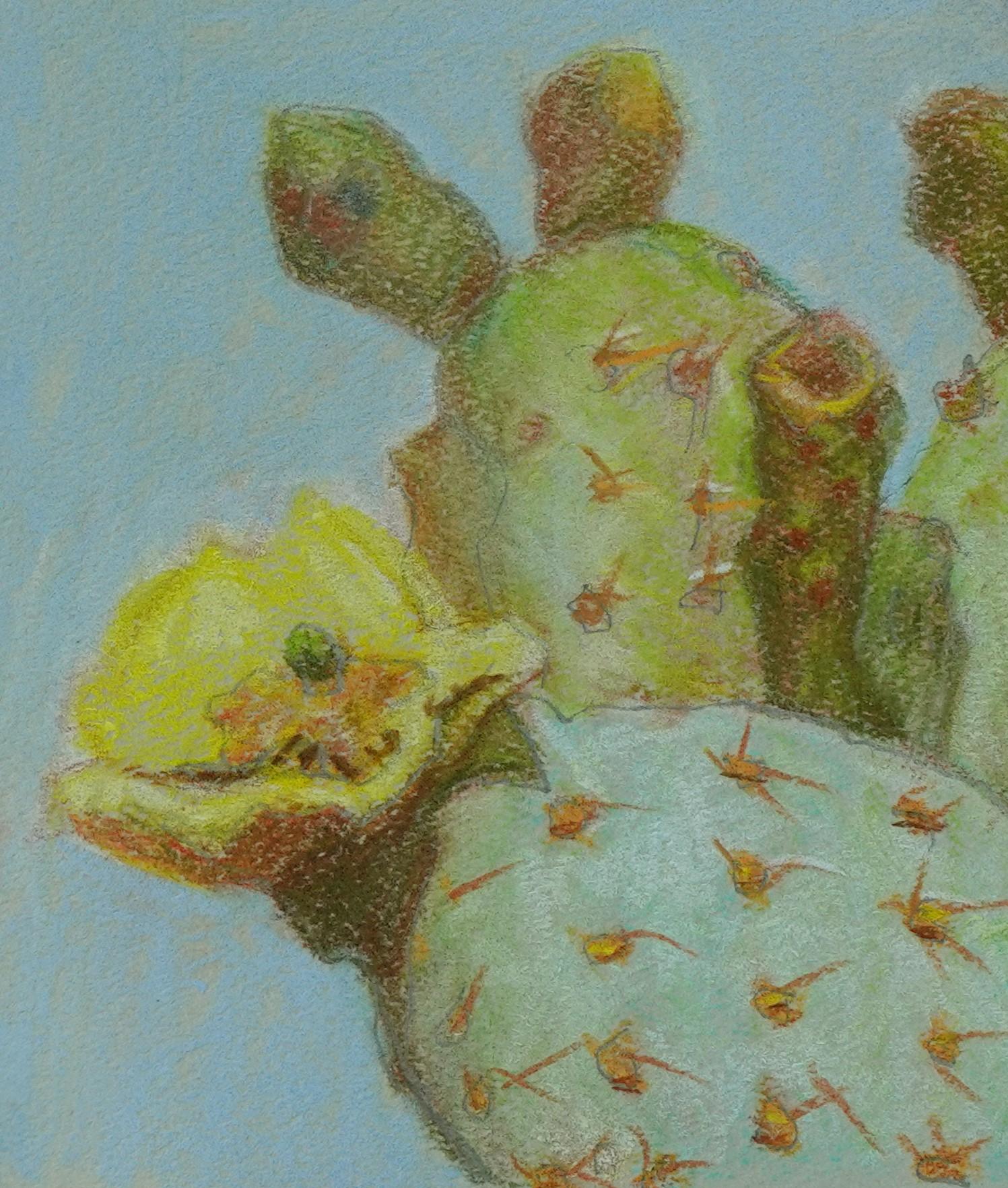 „Cactus Wren“ (2022) von J. Adam McGalliard, Original pastellfarbene Originalillustration im Angebot 2