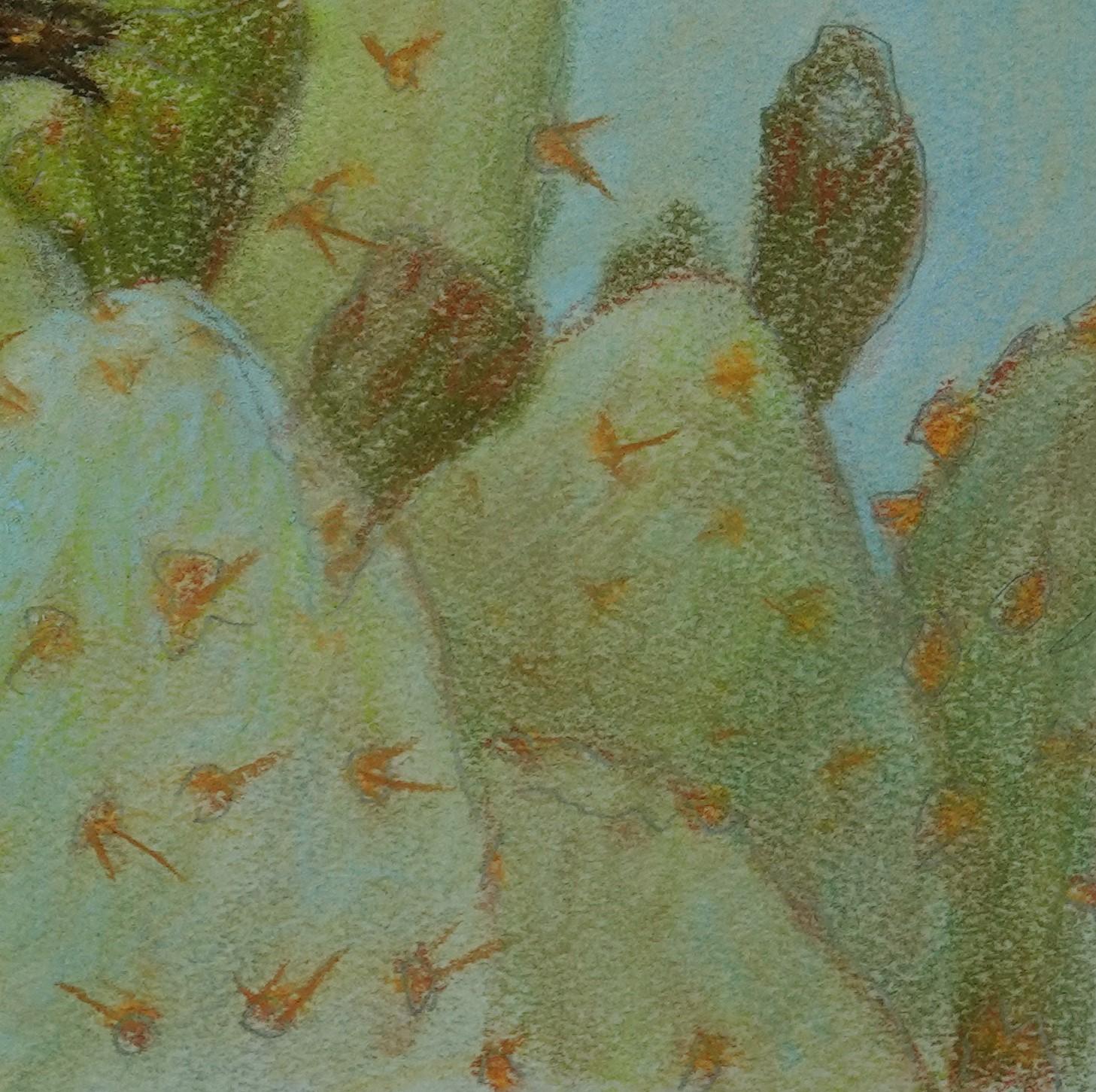 „Cactus Wren“ (2022) von J. Adam McGalliard, Original pastellfarbene Originalillustration im Angebot 3
