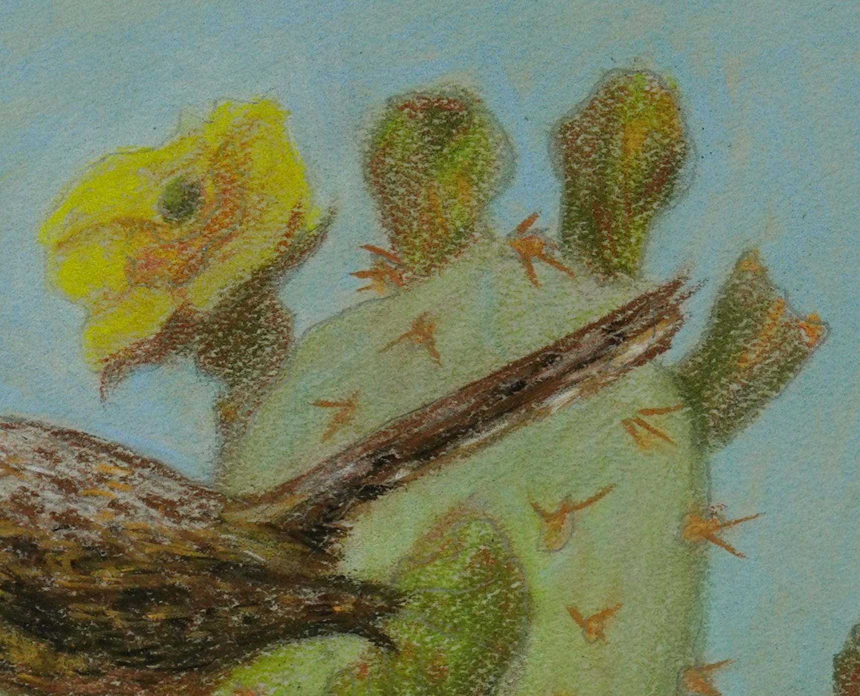 „Cactus Wren“ (2022) von J. Adam McGalliard, Original pastellfarbene Originalillustration im Angebot 4