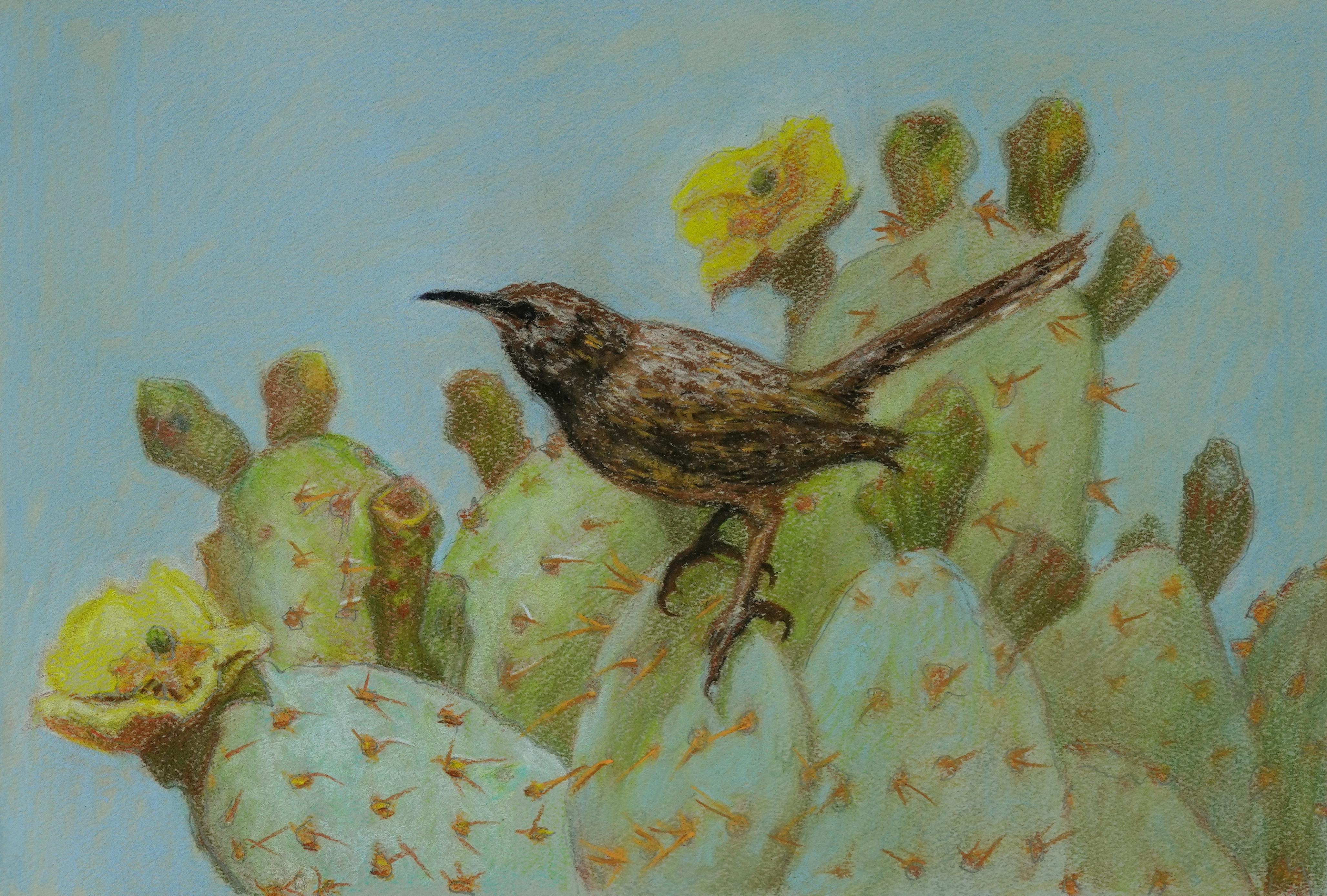 "Cactus Wren" (2022) Por J. Adam McGalliard, Ilustración original al pastel