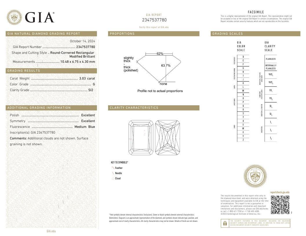 J. Birnbach GIA 3.03 Carat Ashoka Style Elongated Cushion Diamond Halo Ring In New Condition For Sale In New York, NY
