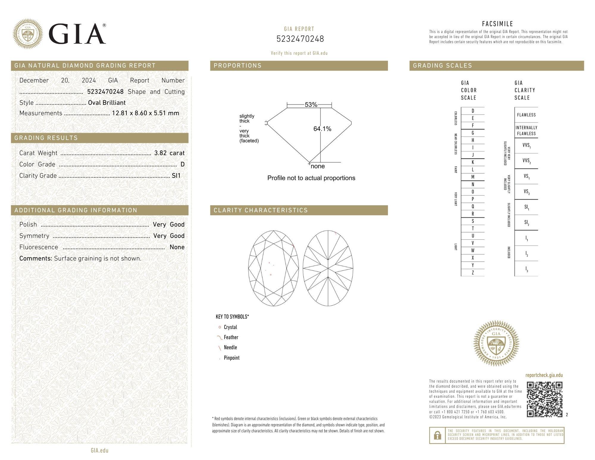 J. Birnbach GIA 3.82 Carat D SI1 Oval Diamond Solitaire Ring In New Condition For Sale In New York, NY