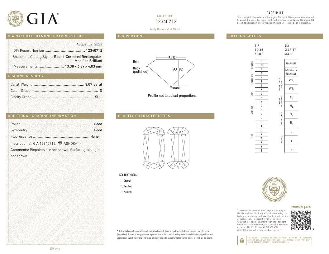 J. Birnbach GIA Certified 3.07 Carat D SI1 Ashoka Diamond Engagement Ring 3