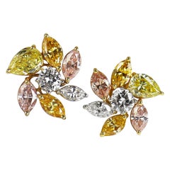 J. Birnbach Boucles d'oreilles en grappe de diamants de couleur fantaisie d'un poids total de 5,39 carats