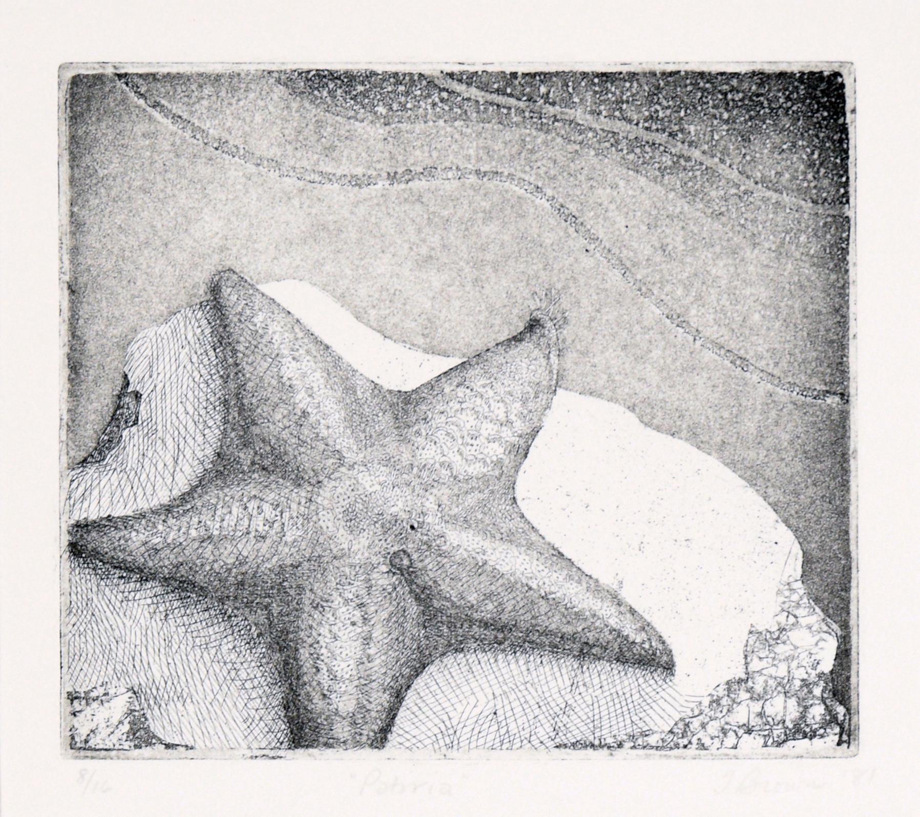 Gravure d'toile de mer sur papier  l'encre (n8/16) - Print de J Brown