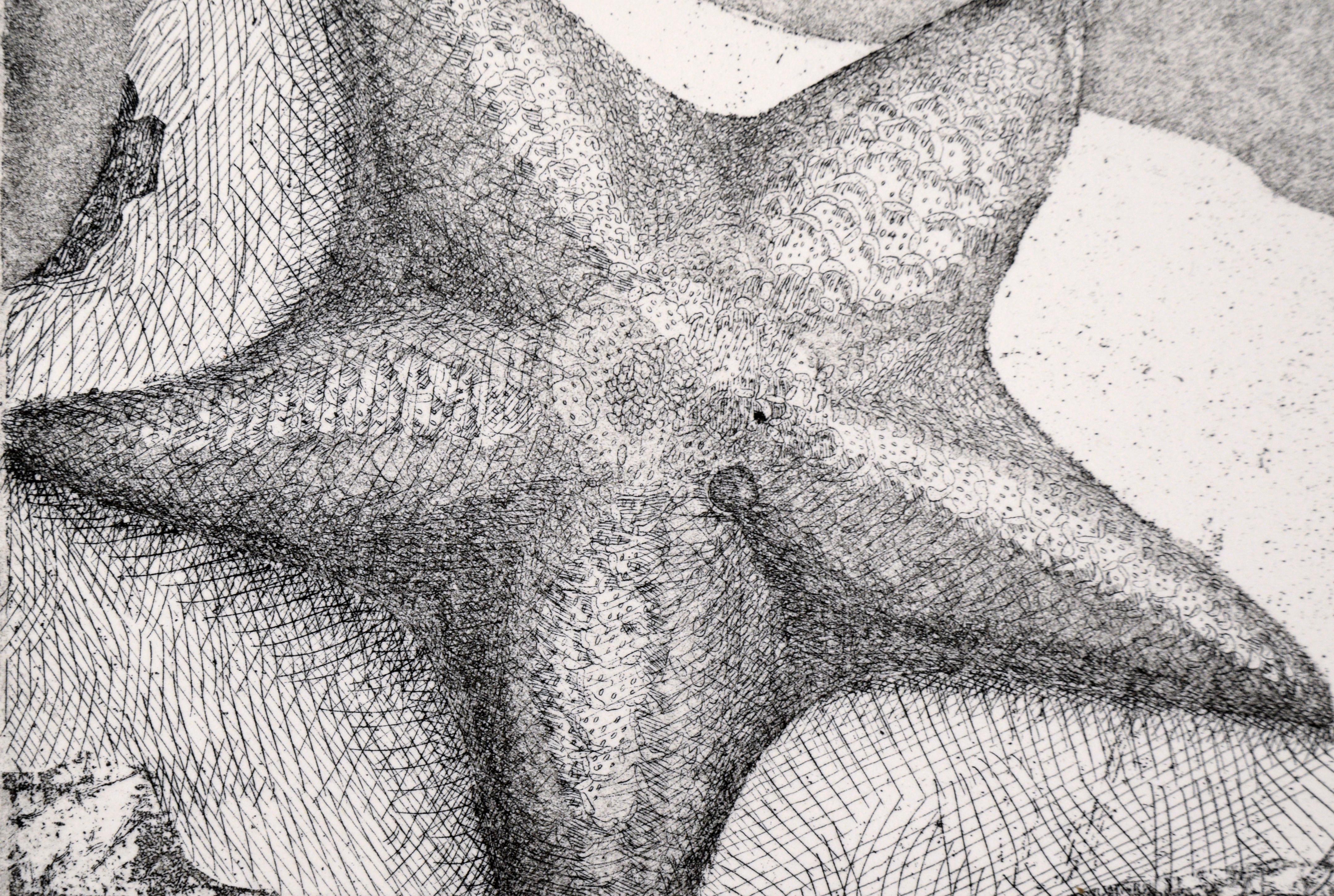 Étoile de mer délicieusement détaillée au bord de la mer par l'artiste inconnu J. Brown (20e siècle). Une étoile de mer est assise au sommet d'un rocher au bord de l'eau. La scène est rendue avec beaucoup de détails, montrant la texture de l'étoile