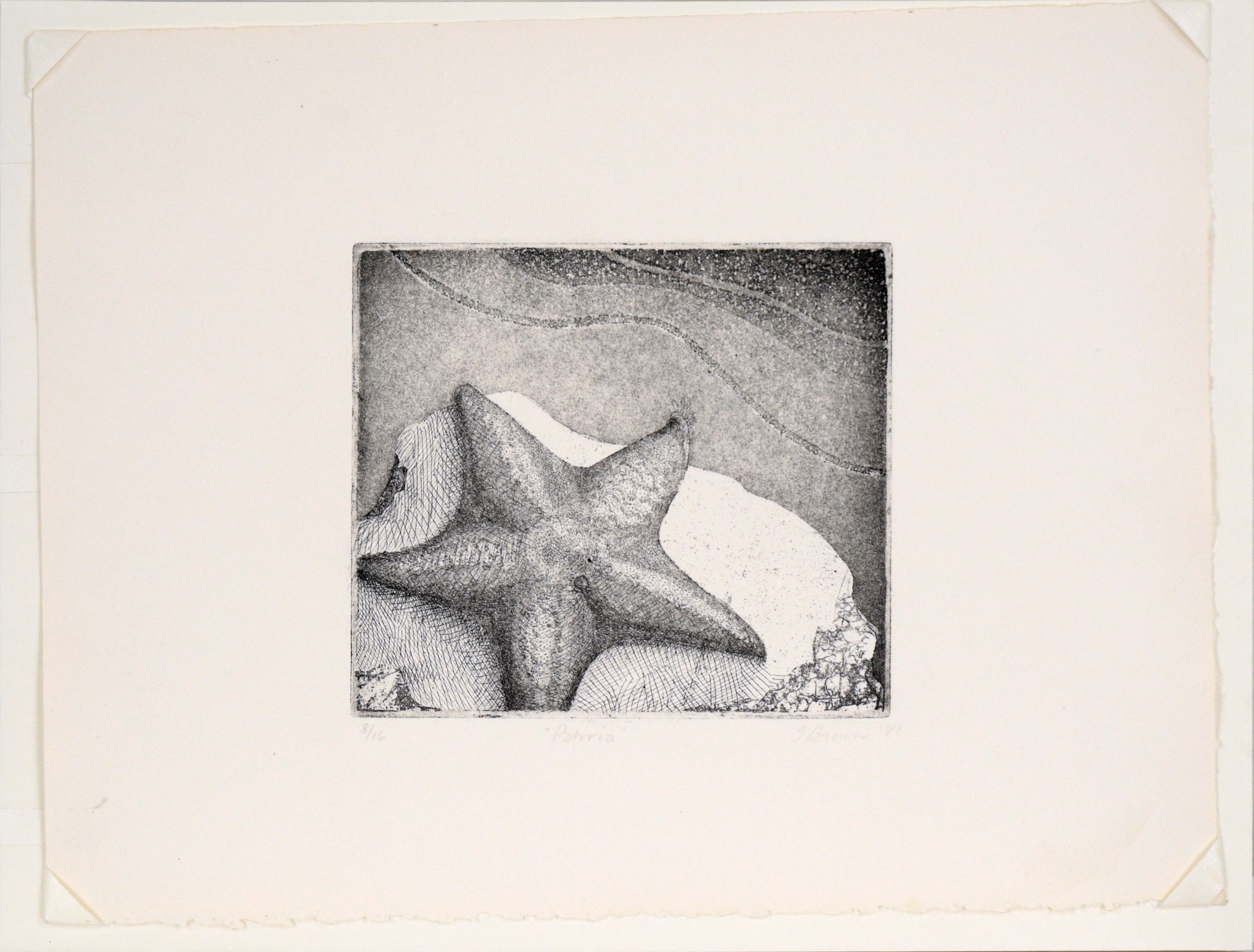 Starfish Etching in Ink on Paper (#8/16) For Sale 1