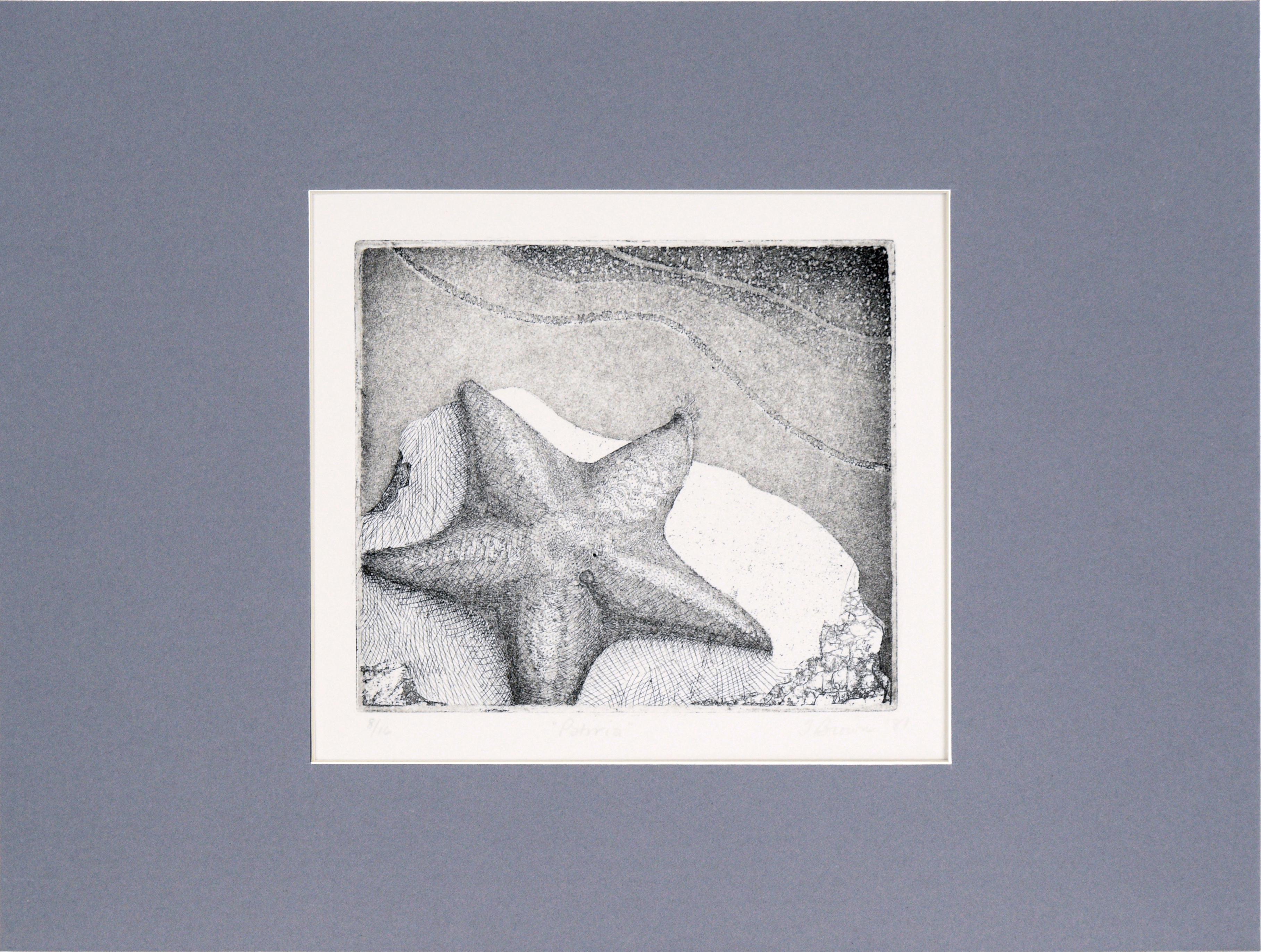 Starfish Etching in Ink on Paper (#8/16)