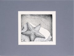 Starfish Etching in Ink on Paper (#8/16)
