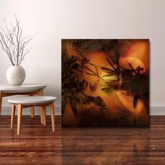 Cattails, Photograph, Archival Ink Jet