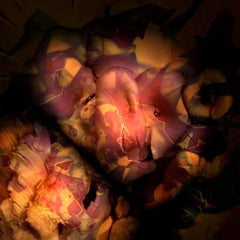 Gummy Bear, Photograph, Archival Ink Jet