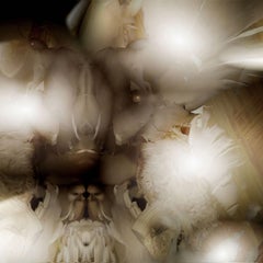 CORDEROS Y AVES I, Fotografía, Chorro de tinta de archivo