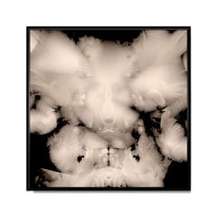 LAMBS AND BIRDS II, Fotografia, getto d'inchiostro d'archivio