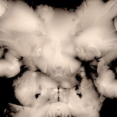 LAMBS AND BIRDS II, Fotografia, getto d'inchiostro d'archivio