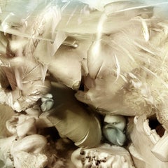 LAMBS AND BIRDS III, Photograph, Archival Ink Jet