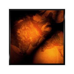 PASSIONE, fotografia, getto d'inchiostro d'archivio