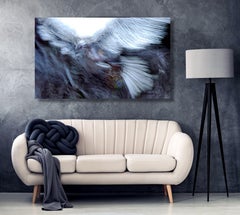 PEACE, Photograph, Canvas (stretched)