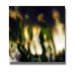 SKINNY DIPPIN, fotografia, getto d'inchiostro d'archivio