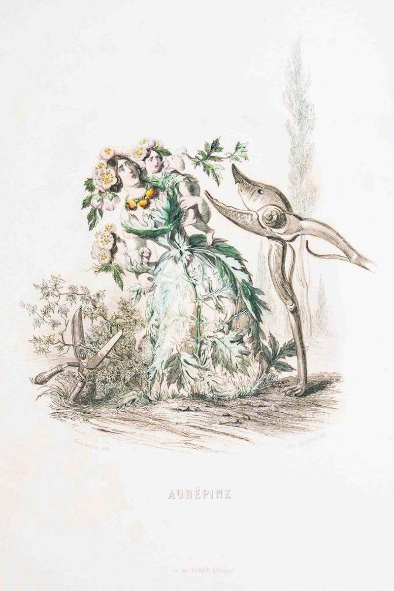 J. J. Grandville Figurative Print - Aubépine - Les Fleurs Animés Vol.II - Lithograph by J.J. Grandville - 1847