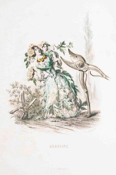Aubépine - Les Fleurs Animés Vol.II - Lithograph by J.J. Grandville - 1847