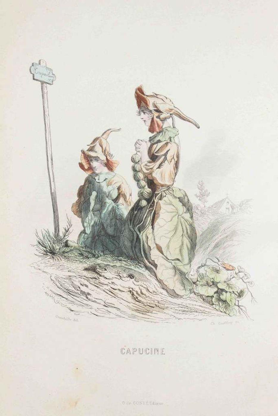 J. J. Grandville Figurative Print - Capucine - Les Fleurs Animées Vol.I - Litho by J.J. Grandville - 1847