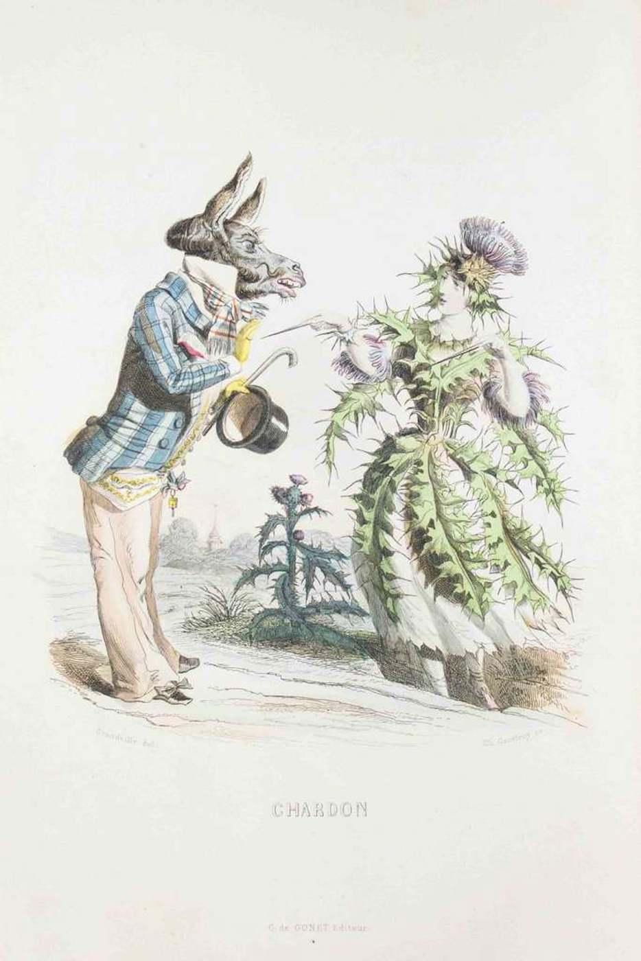 J. J. Grandville Figurative Print - Chardon - Les Fleurs Animées Vol.I - Litho by J.J. Grandville - 1847