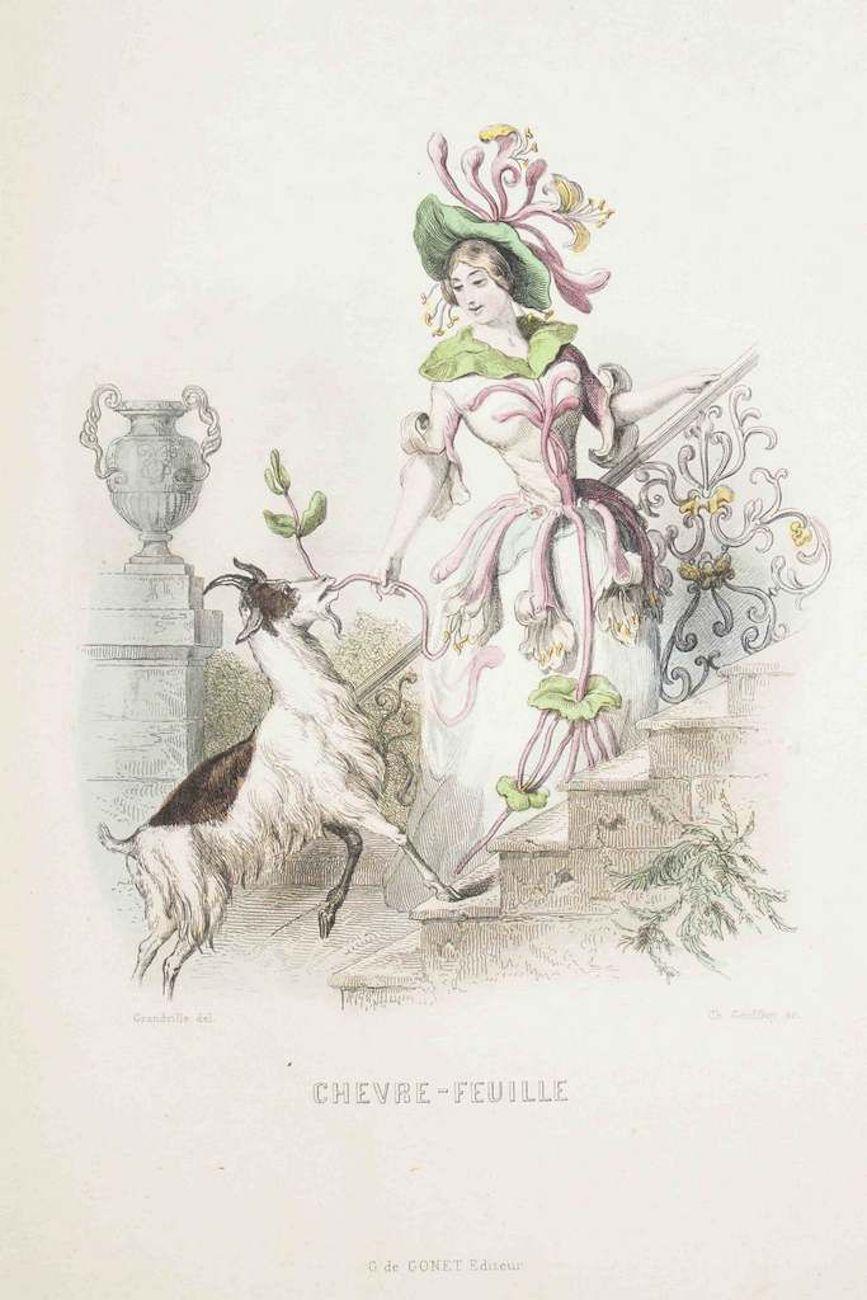 J. J. Grandville Figurative Print - Chèvrefeuille - Les Fleurs Animées Vol.I - Lithograph by J.J. Grandville - 1847