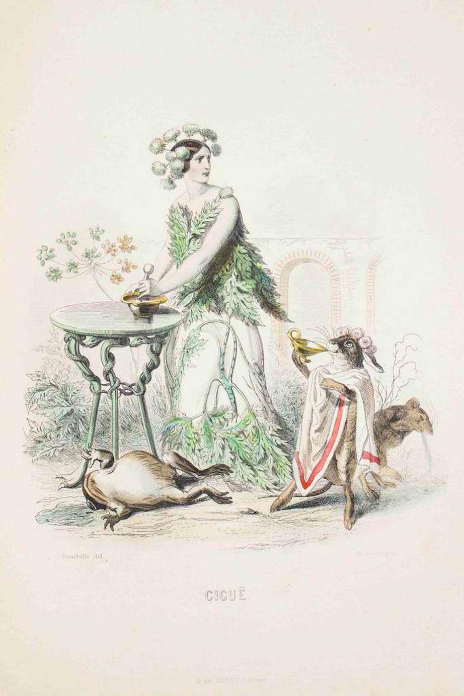 J. J. Grandville Figurative Print - Cigue - Les Fleurs Animées Vol.I - Litho by J.J. Grandville - 1847
