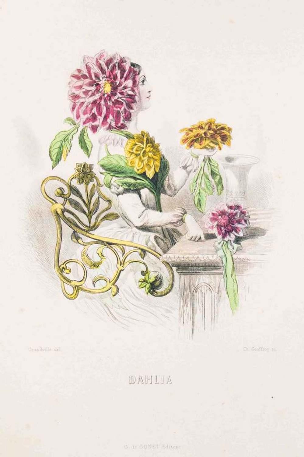 J. J. Grandville Figurative Print - Dahlia - Les Fleurs Animées Vol.II - Lithograph by J.J. Grandville - 1847