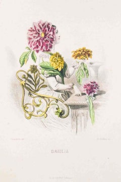Dahlia - Les Fleurs Animées Vol.II - Lithograph by J.J. Grandville - 1847