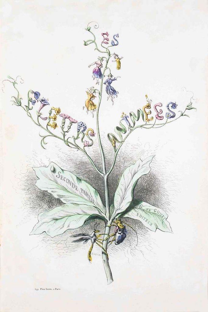 J. J. Grandville Figurative Print - Frontispiece - Les Fleurs Animées Vol.II - Lithograph by J.J. Grandville - 1847