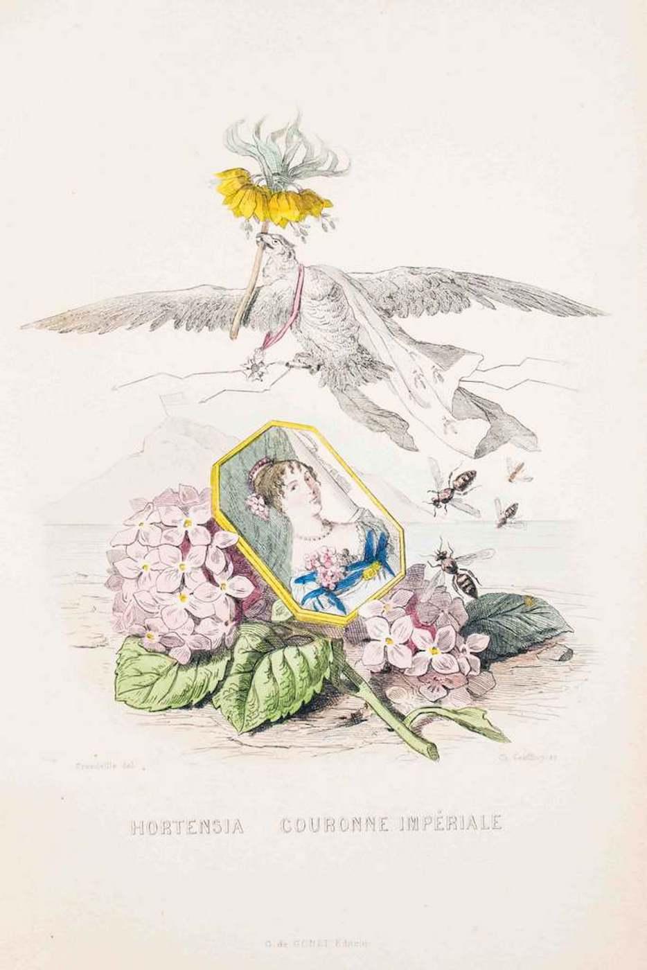 Etoile Du Berger by JJ Grandville 1849