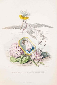 Hortensia Couronne Impriale - Les Fleurs - Lithographie de J.J. Grandville - 1847