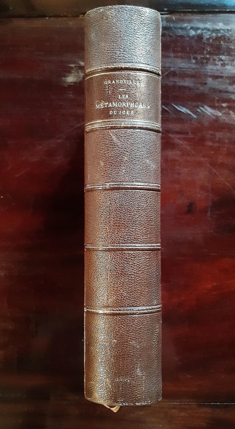 Les Métamorphoses du Jour - Rare Book Illustrated by J. J. Grandville - 1869 For Sale 1