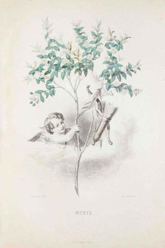 Myrte - Les Fleurs Animées Vol.I - Lithograph by J.J. Grandville - 1847