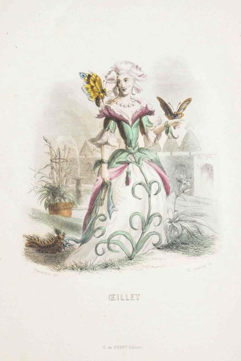 Oeillet - Les Fleurs Animées Vol.I - Lithograph by J.J. Grandville - 1847