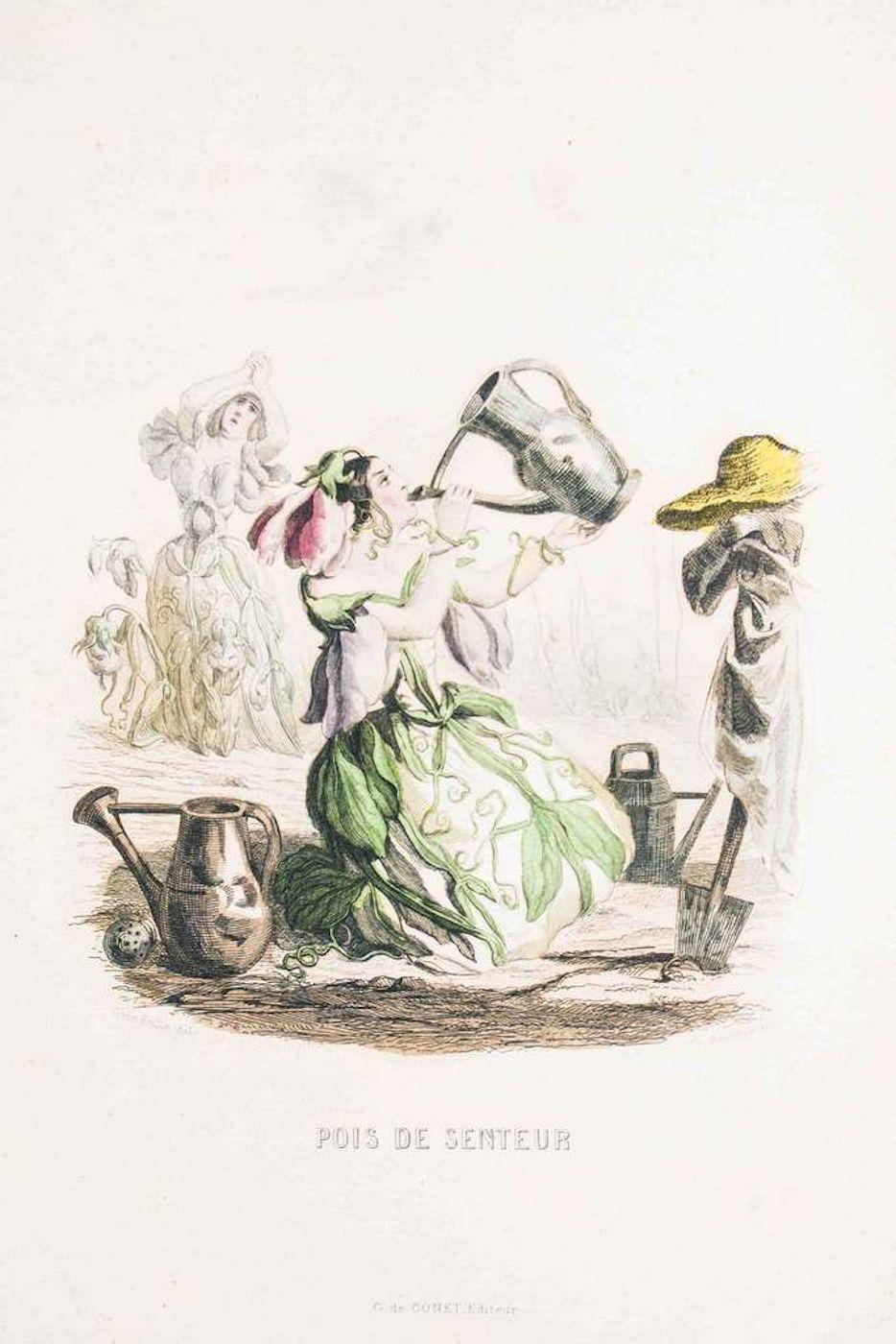 J. J. Grandville Figurative Print - Pois de Senteur - Les Fleurs Animées Vol. - Lithograph by J.J. Grandville - 1847