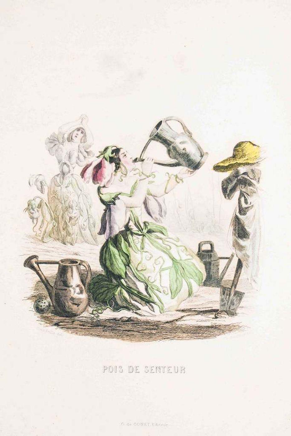 Figurative Print de J. J. Grandville - Pois de Senteur - Las Flores Animadas Vol. - Litografía de J.J. Grandville - 1847