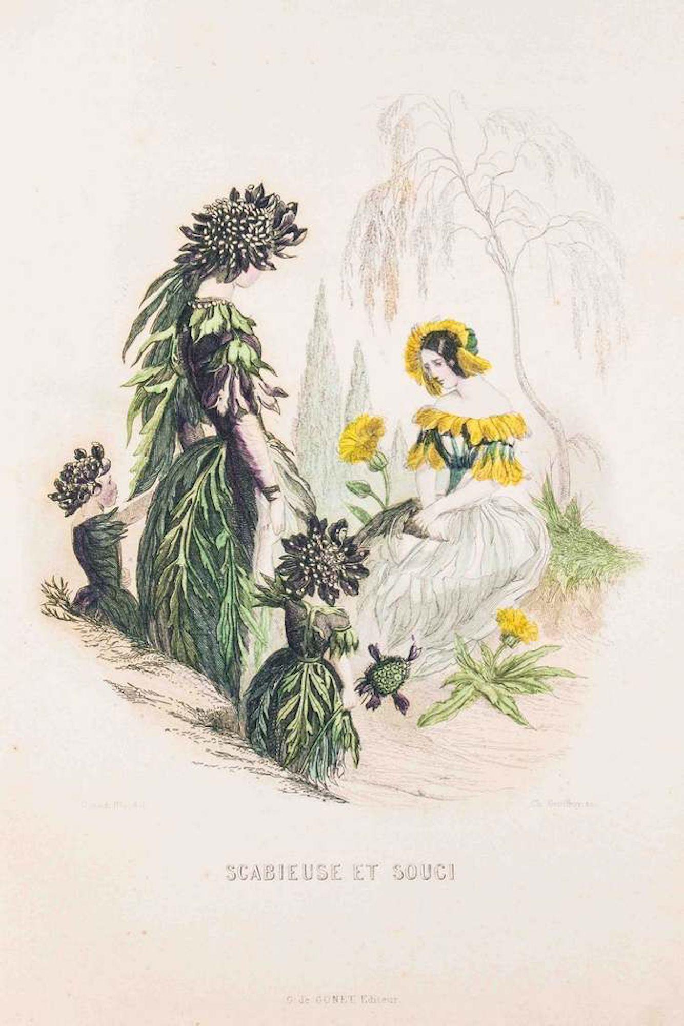 Scabieuse et Souci - Les Fleurs Animées Vol.II - Litho by J.J. Grandville - 1847
